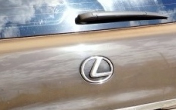 На границе Оренбургской области и Казахстана задержан Lexus с поддельными номерами