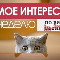 Оренбуржье за семь дней: чем запомнилась уходящая неделя 