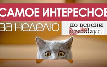 Оренбуржье за семь дней: чем запомнилась уходящая неделя 