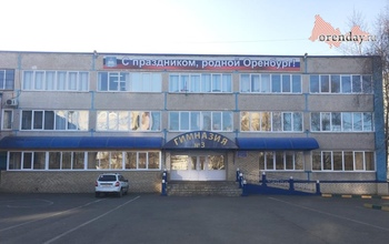 Из подвала гимназии № 3 Оренбурга не вызволили котят 