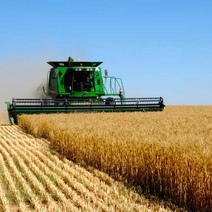 Оренбуржье показало не лучший результат по приросту аграрного производства 