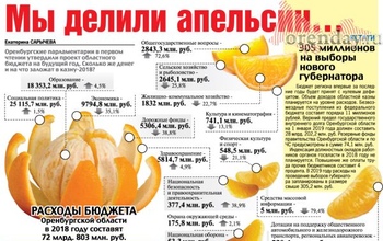 Как в Оренбуржье поделят бюджетный апельсин