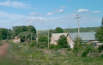 В Оренбуржье деревню из двух домов отключили от света