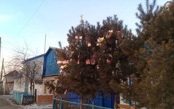 В Оренбурге елку нарядили… футбольными мячами