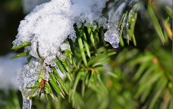 В Оренбург пришла оттепель 