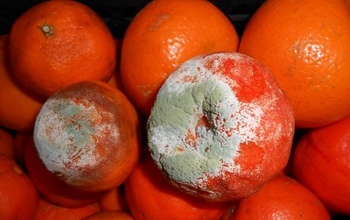 Куда оренбуржцы могут пожаловаться на качество продуктов питания