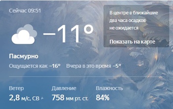 Снег пойдет в Оренбурге лишь к рождественской ночи