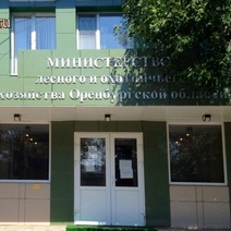 Оренбуржцы считают, что министерство лесного хозяйства не нужно региону