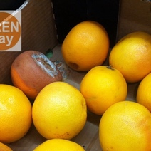 В магазинах оренбуржцам предлагают далеко не свежие продукты 