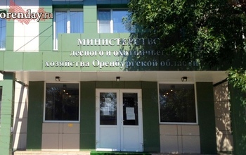 Оренбуржцы считают, что министерство лесного хозяйства не нужно региону