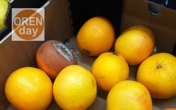 В магазинах оренбуржцам предлагают далеко не свежие продукты 