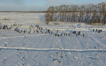 Опубликовано видео с места крушения Ан-148 в Подмосковье
