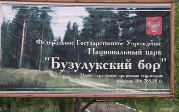 Посещение Бузулукского бора станет платным