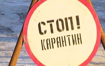 В трех муниципалитетах Оренбуржья введен карантин по бешенству