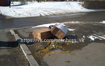 Оренбуржцы в соцсетях возмущаются беспорядком на улицах города