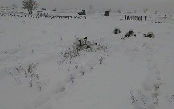 В Оренбургскую область перебросили миротворцев