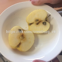 Соцсети: В оренбургской школе ученикам давали яблоки с плесенью