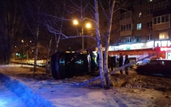 В Гае Chevrolet Cruze сломал березу