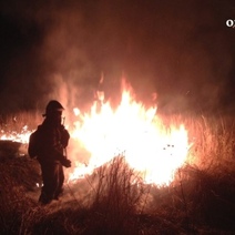 В Оренбурге из-за любителей шашлыков загорелась сухая трава