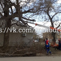 В Оренбурге сломанное ветром дерево оставило жилой дом без света