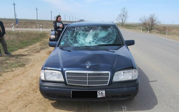 В Ясном 16-летний подросток попал под колеса Mercedes-Benz C 200 