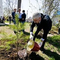 Правительство Оренбуржья отчиталось о посадке 8 миллионов деревьев