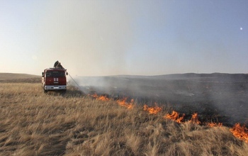 В Оренбуржье огонь частично уничтожил лесничество