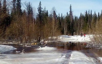 Сотрудники бузулукской компании затонули на вездеходе в Республике Коми