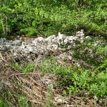 В Оренбурге жители обнаружили незаконный скотомогильник