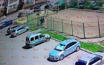 В Экодолье усердные коммунальщики вместе с забором покрасили автомобили