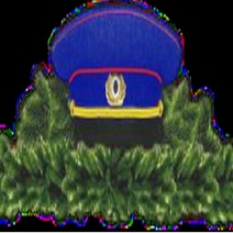 В Южном округе Оренбурга появится цветочная композиция в виде фуражки 