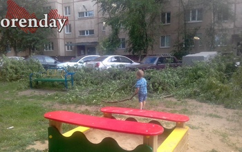 В Оренбурге кучу спиленных ветвей бросили прямо на детской площадке