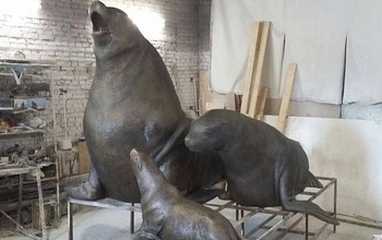 В Петропавловске-Камчатском дети играют вокруг оренбургских морских львов