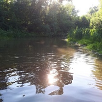 В Медногорске на берегу реки Блявы незаконно добывали ПГС