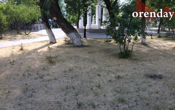 Оренбуржцы не в восторге от главной улицы областного центра