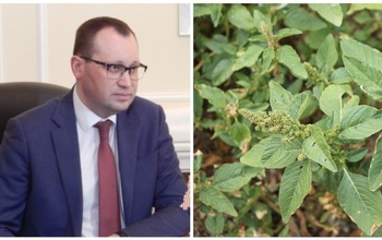 Оренбургский чиновник поплатится за сорняки