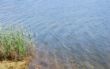 В Оренбуржье лишь за сутки зафиксировали гибель двух людей на воде (18+)