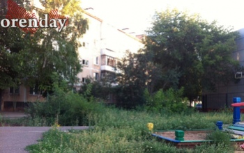 В Оренбурге деньги на покосы травы выделяются, но город продолжает зарастать