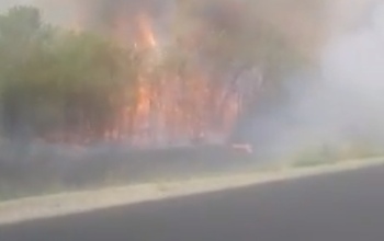 Около села Никольское в Оренбургском районе произошел масштабный пожар