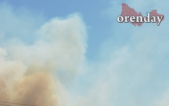 Вблизи дачных массивов Ростоши-2 и Ростоши-3 горит поле
