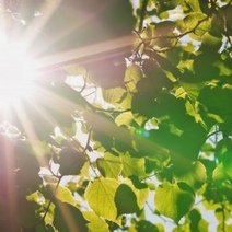 Последняя неделя лета порадует оренбуржцев теплом 