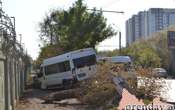 В Оренбурге маршрутка снесла дерево и врезалась в забор
