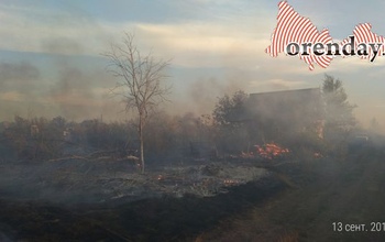 В Сорочинске от огня серьезно пострадал дачный массив