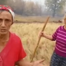 В посёлке Рысаево под Медногорском пожар тушат всем миром