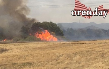МЧС сообщило о локализации пожара под Медногорском