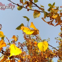 Чего оренбуржцам ждать от погоды в выходные 