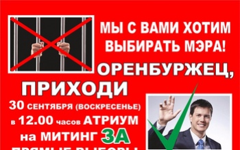 Хочешь выбирать мэра? Приходи на митинг