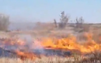 В Оренбурге снова горела сухая трава