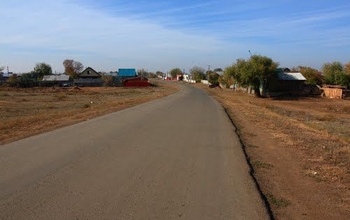 Жители села Нижняя Павловка жалуются на рынок на проезжей части