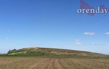 Кто будет охранять оренбургские курганы от «черных копателей»